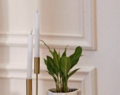 Vægliste og rammeliste